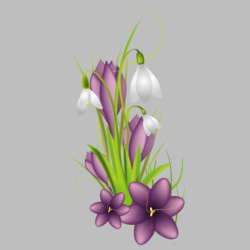 Snowdrops and delicate crocuses in illustration