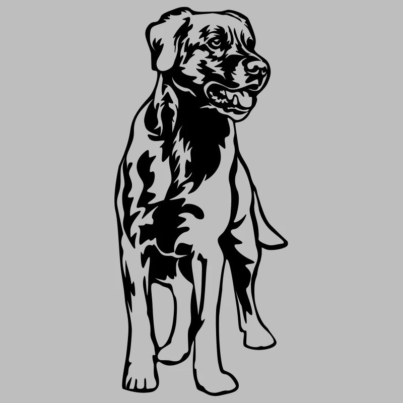 Labrador