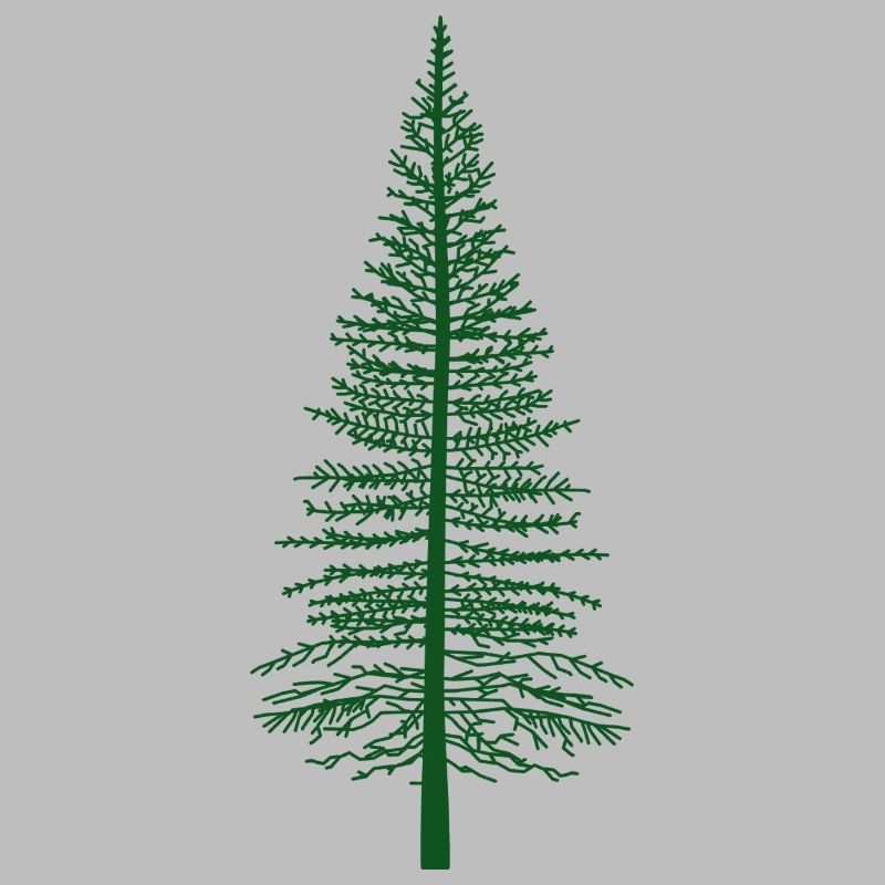 Silhouette du sapin vert