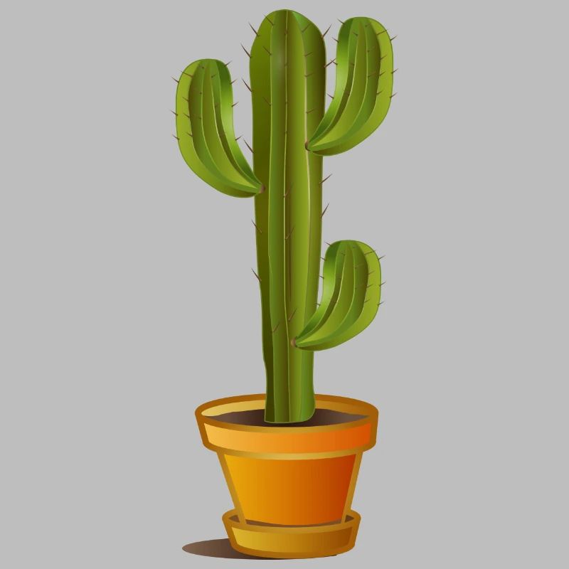 Grand cactus vert dans un pot de fleurs