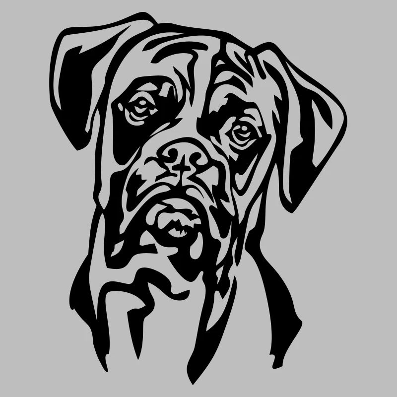 Boxer Kopf