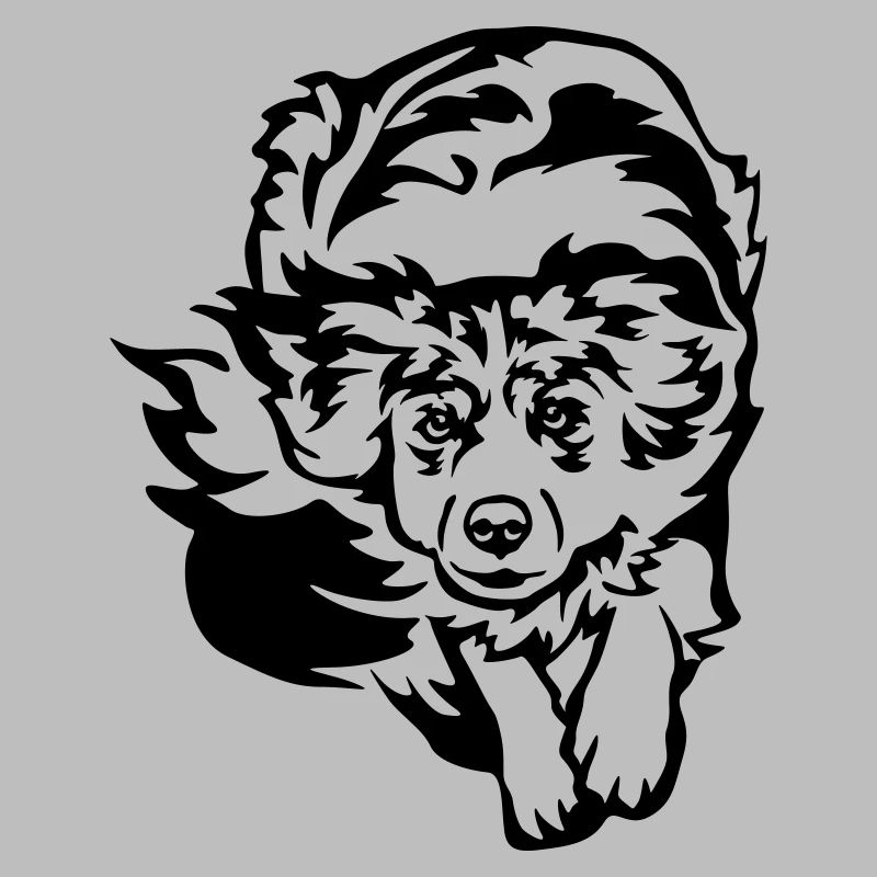 Australian Shepherd