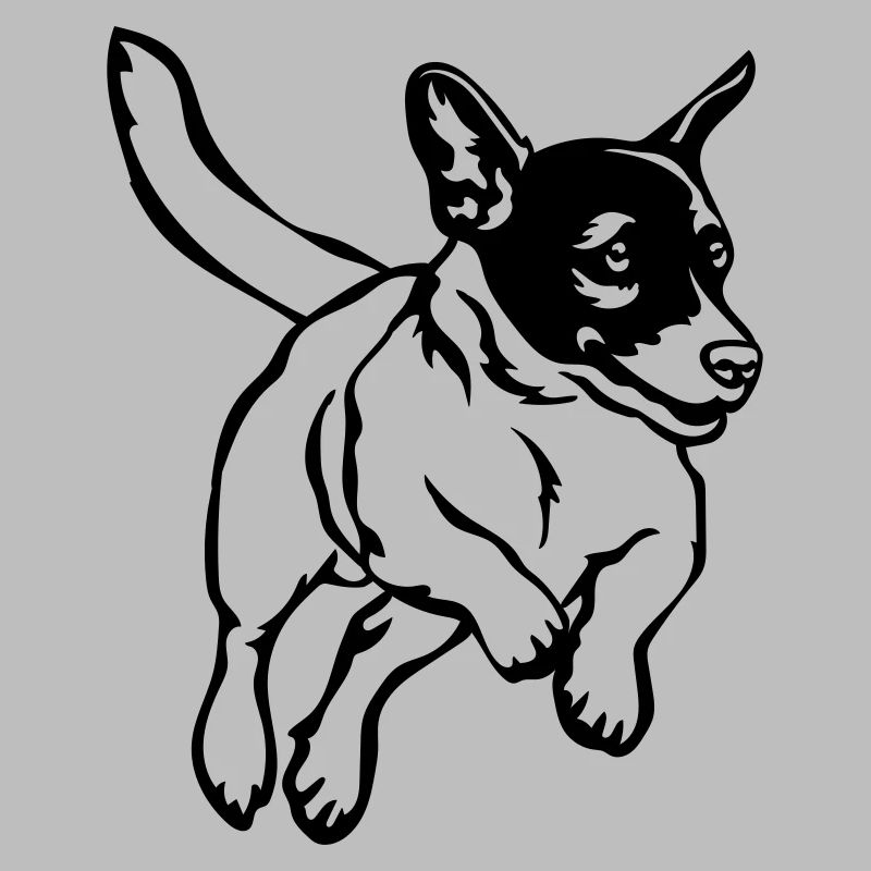 Jack Russell Terrier