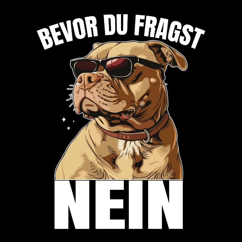Cool dog avant de demander non