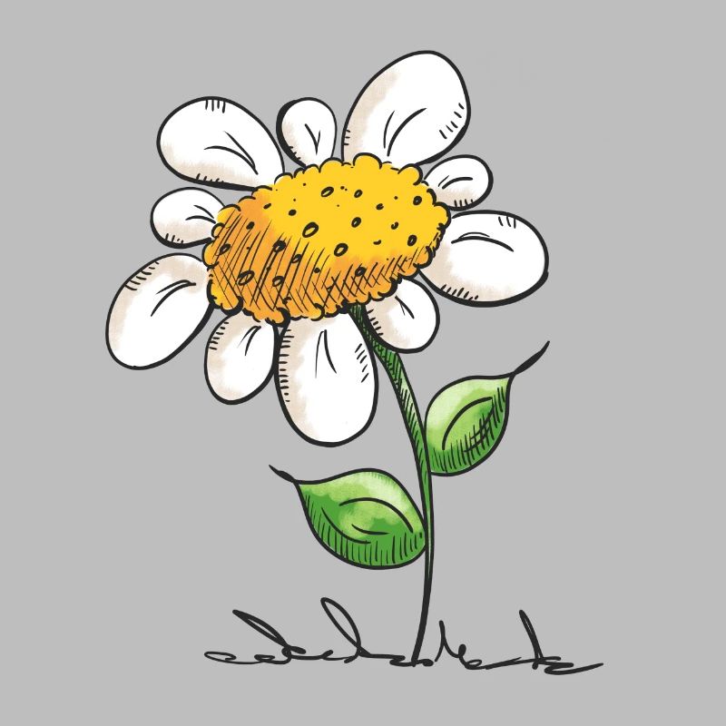 Schöne Blume - Blumen - Blümchen - Natur - Blatt