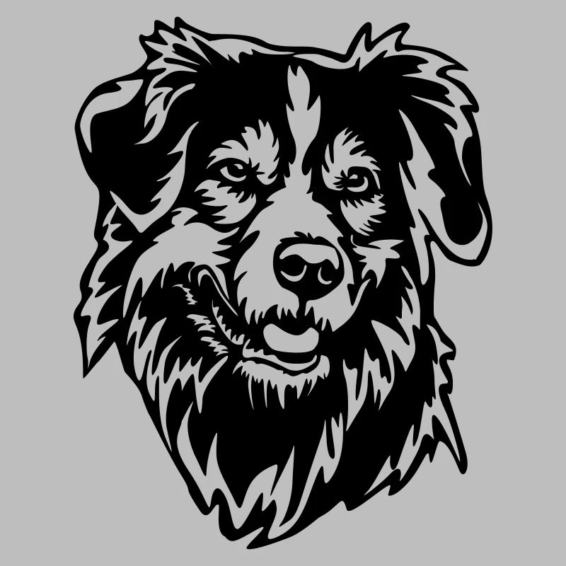 Australian Shepherd Kopf
