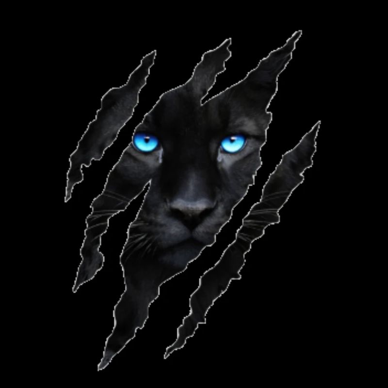 Black big cat with blue eyes