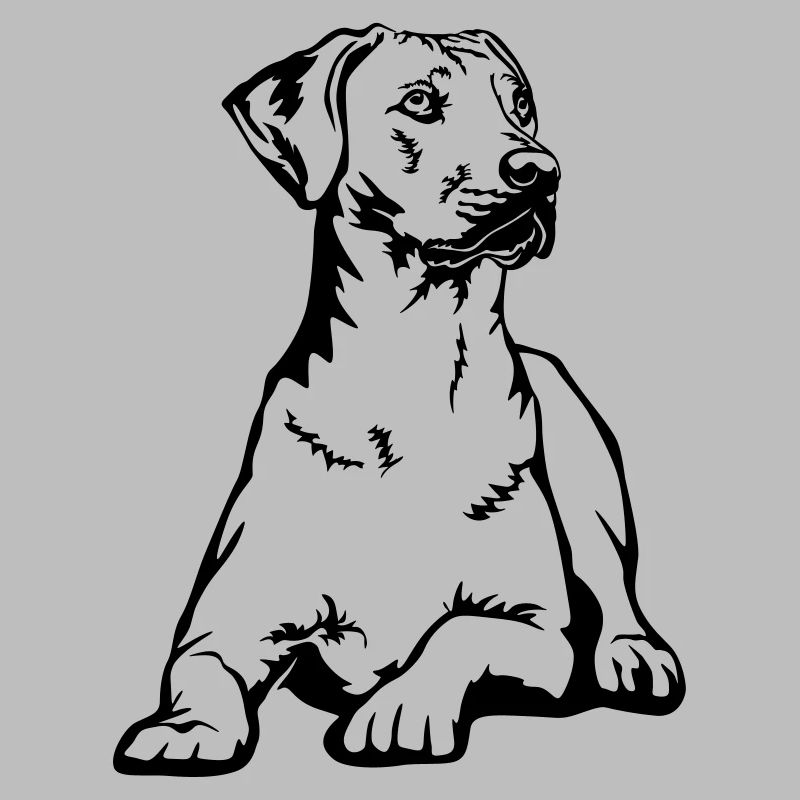 Rhodesian Ridgeback