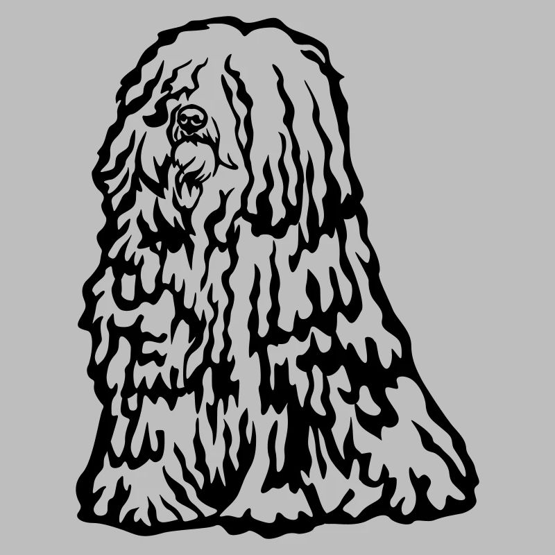 Puli