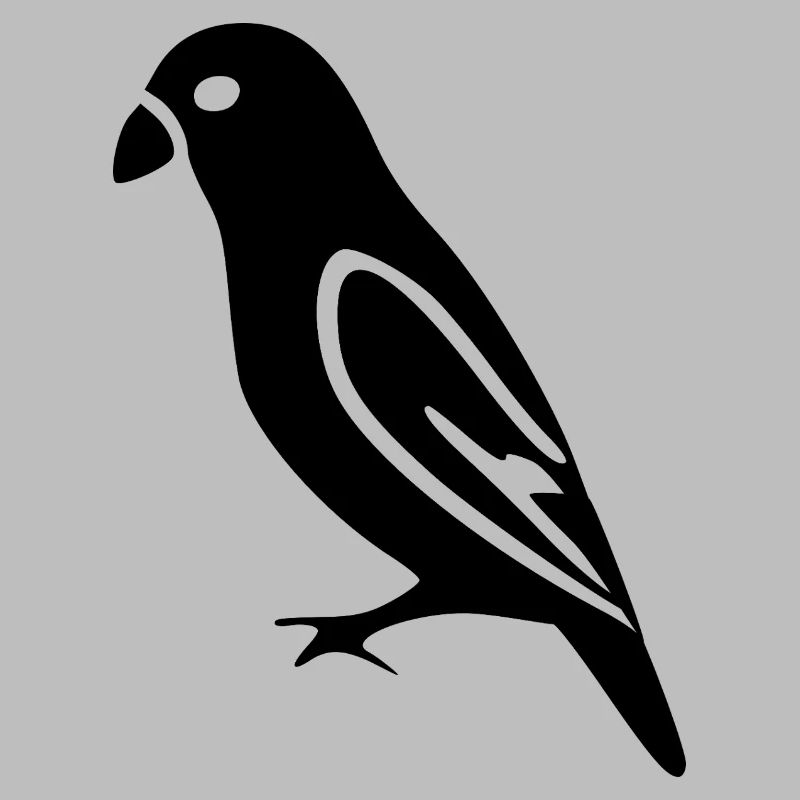black bird gift nature lover