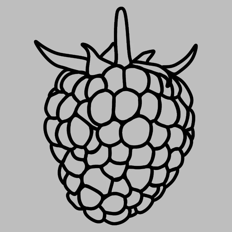 Raspberry Silhouette