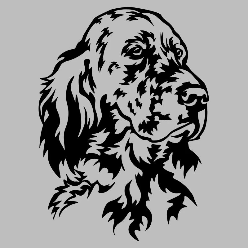 Englischer Setter Kopf