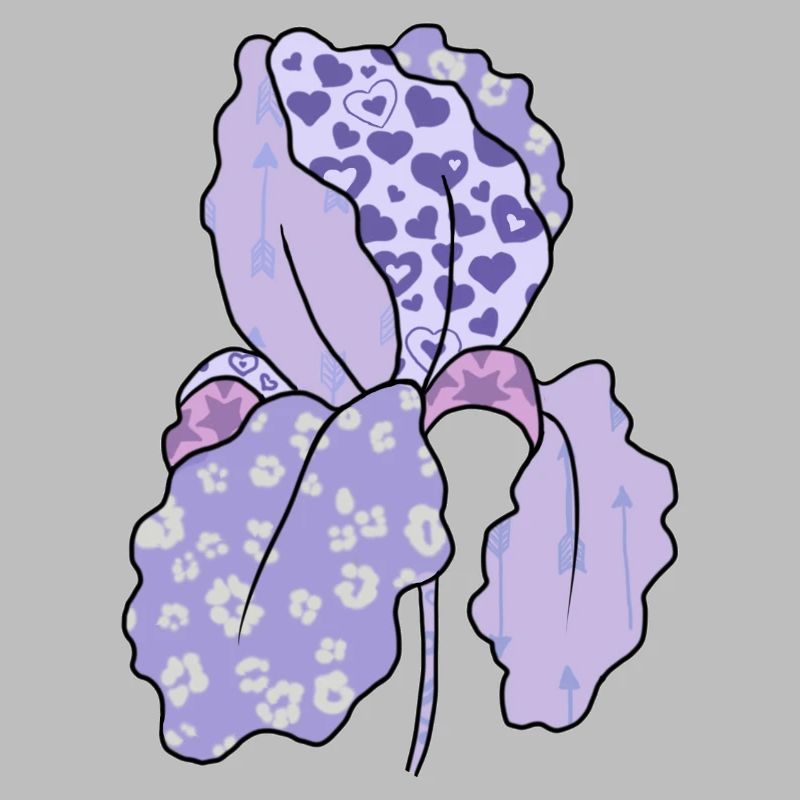 Bunte_Iris