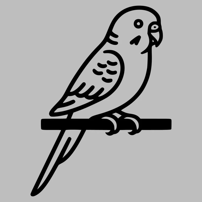 Perruche Animal de compagnie