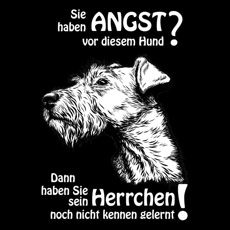Angst vor IrishTerrier? Herrchen