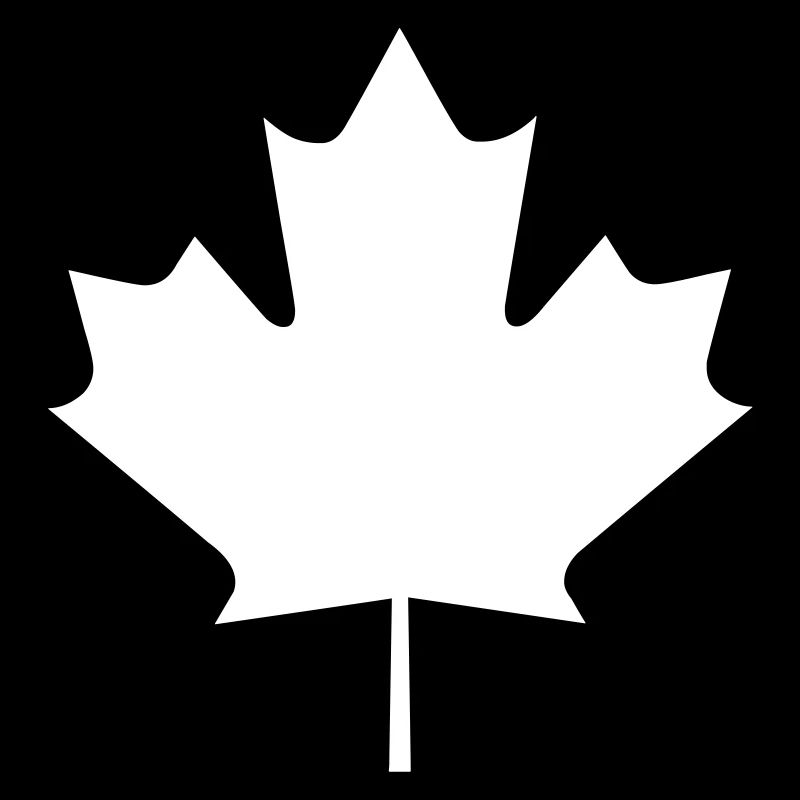A maple leaf