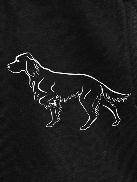 Setter ci-dessus