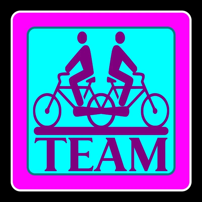 TEAM PROBLEMS - BIKE