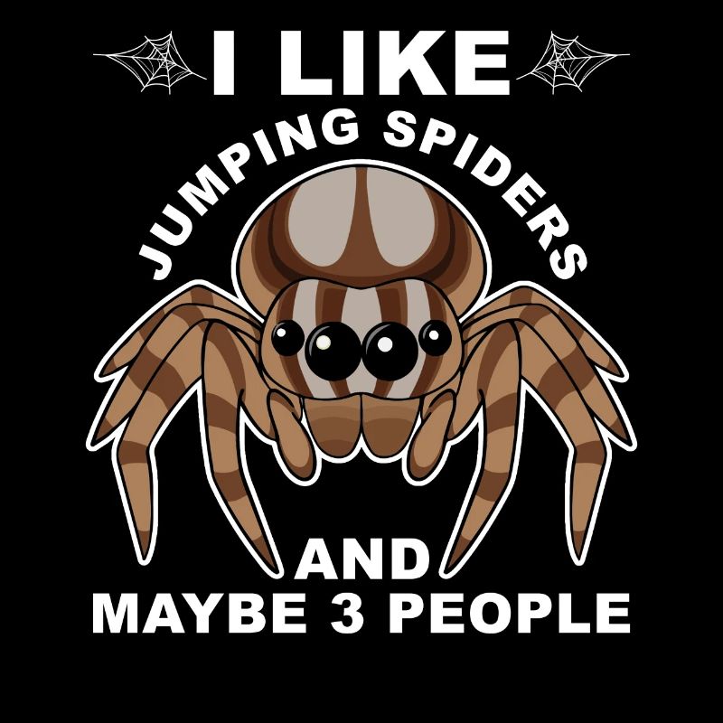 Dicton Jumping Spider