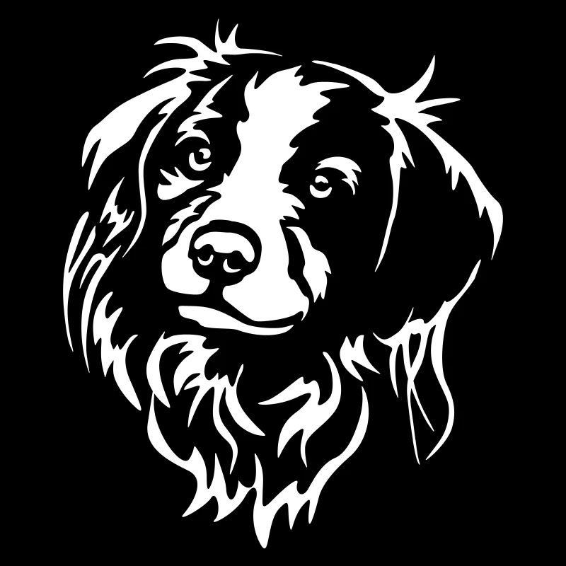Kooikerhondje Kopf "Black Edition"