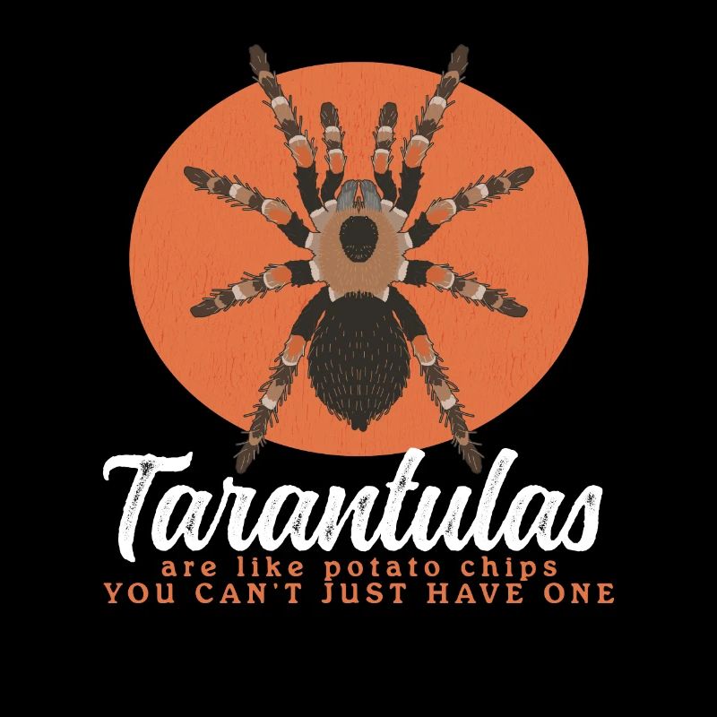 Vogelspinnen Tarantel Spinne Vogelspinne Geschenk
