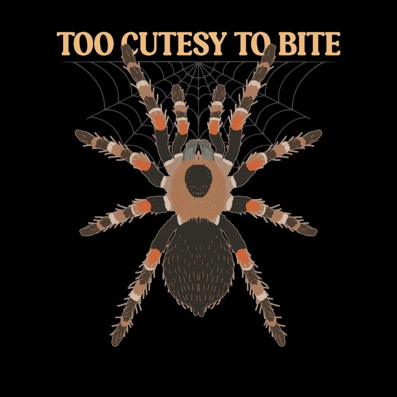 Tarantulas Spiders Tarantula Tarantula Tarantula Gift