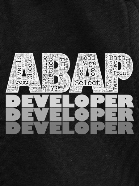 ABAP Developer