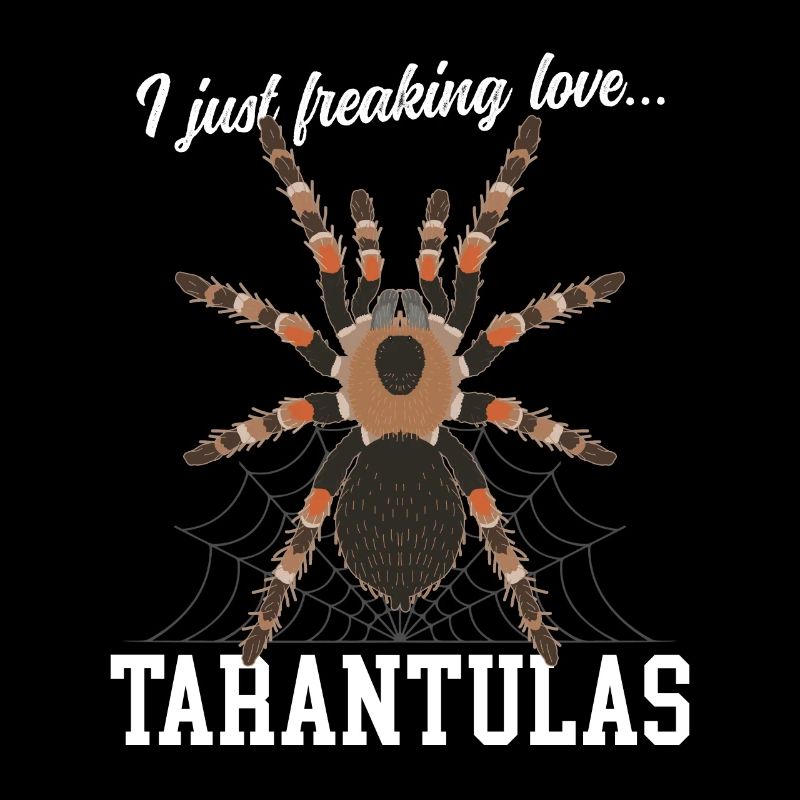 Tarantulas Spider Tarantula Gift