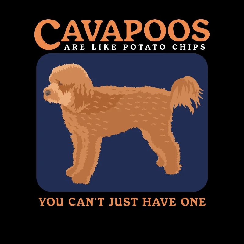 Cavapoo Dogs Cavoodle Dog Owner Cadeau