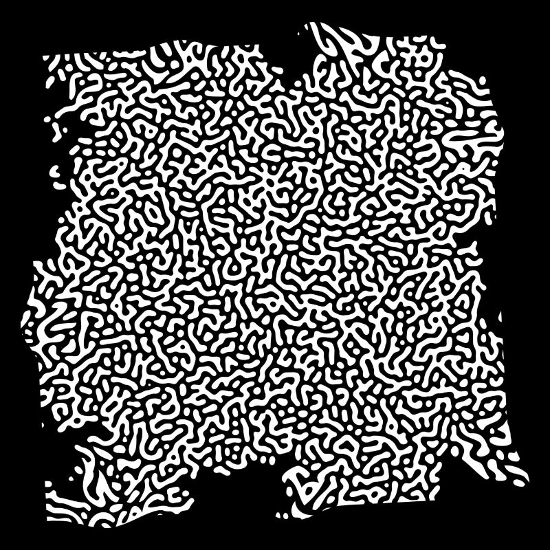 turing pattern weiss - Würmchen