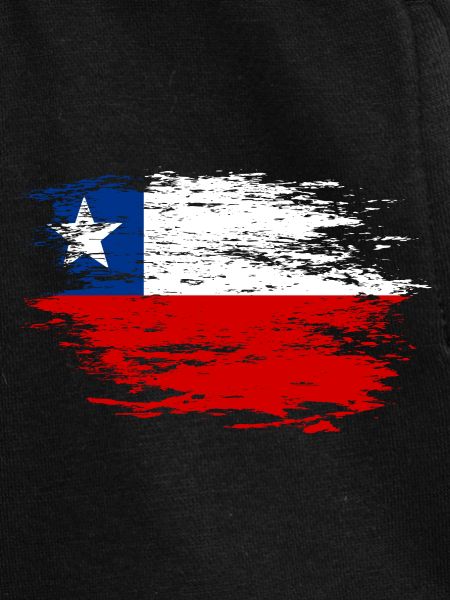 Drapeau chilien utilisé