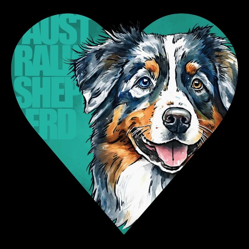 Australian Shepherd Portrait