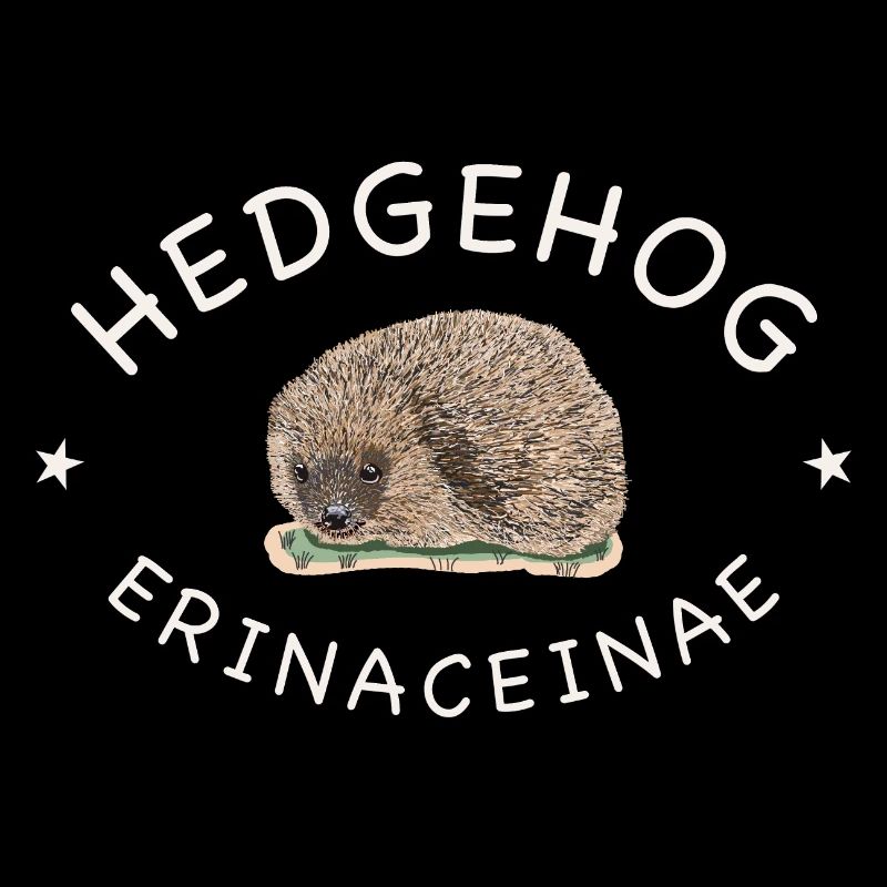 Echter Igel, wissenschaftlicher Name, Englisch