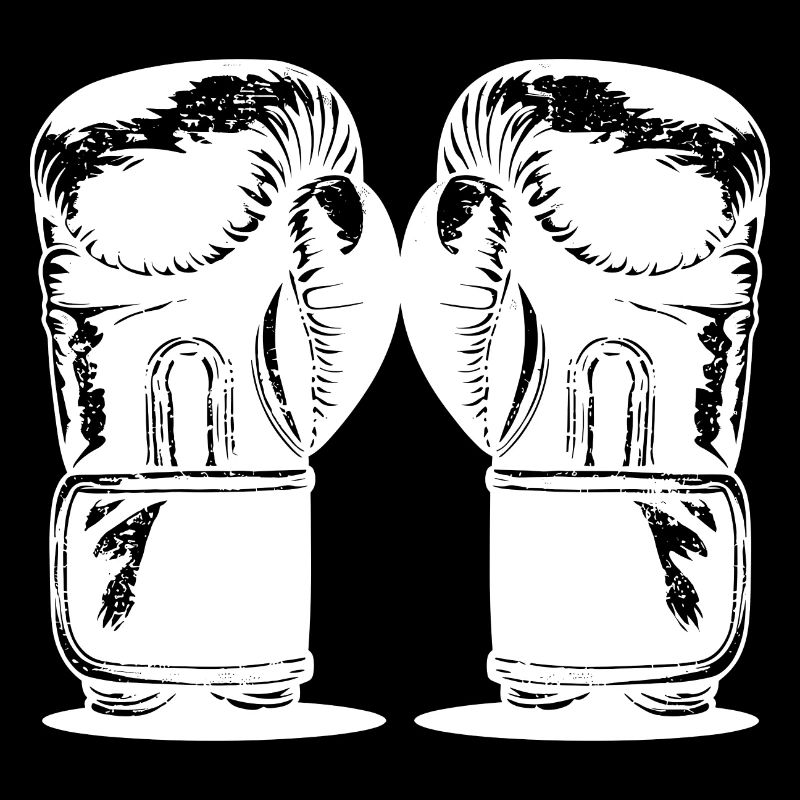 Boxhandschuhe