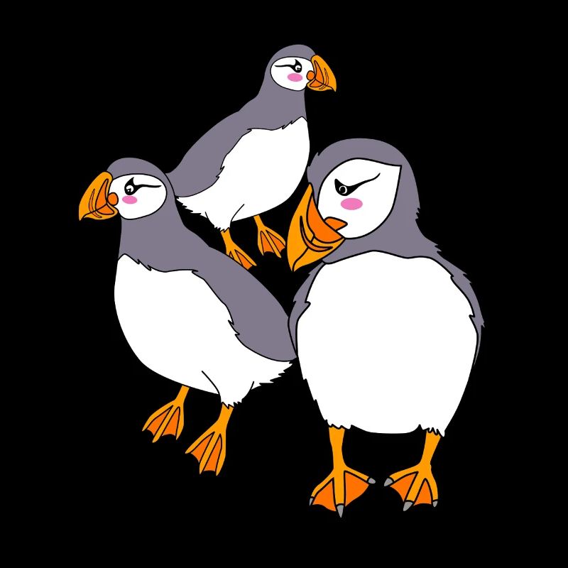 Papageientaucher Puffin
