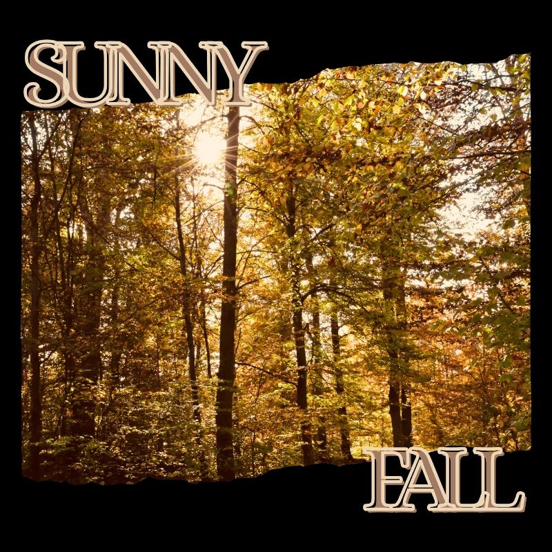 Sunny Fall - Herbstsonne im Wald