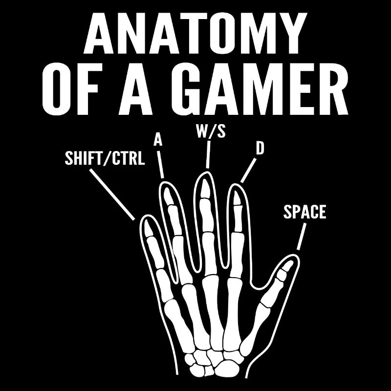 Anatomie eines Gamers
