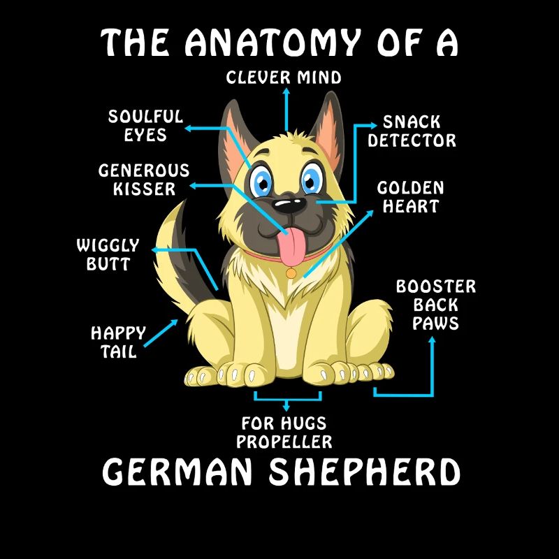 Anatomie eines Deutschen Schäferhundes