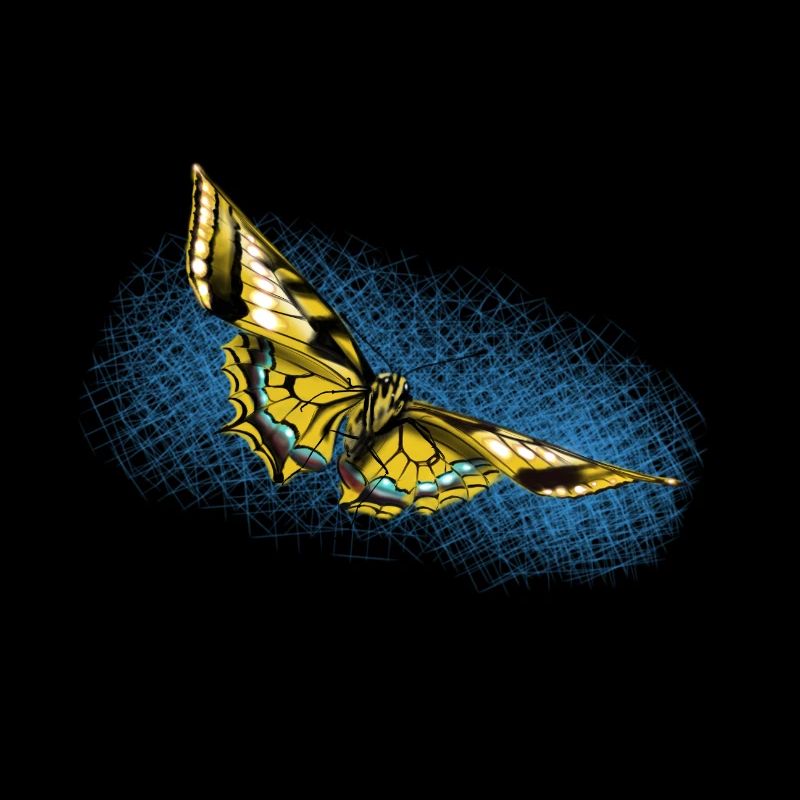 Papillon jaune Accent bleu