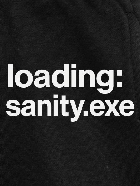 loading: sanity.exe