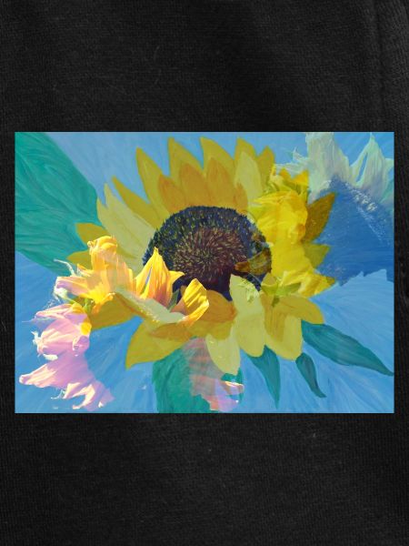 Multi-exposition tournesol