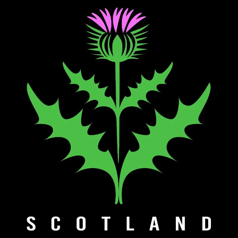 Écosse Écossais Écossais écossais