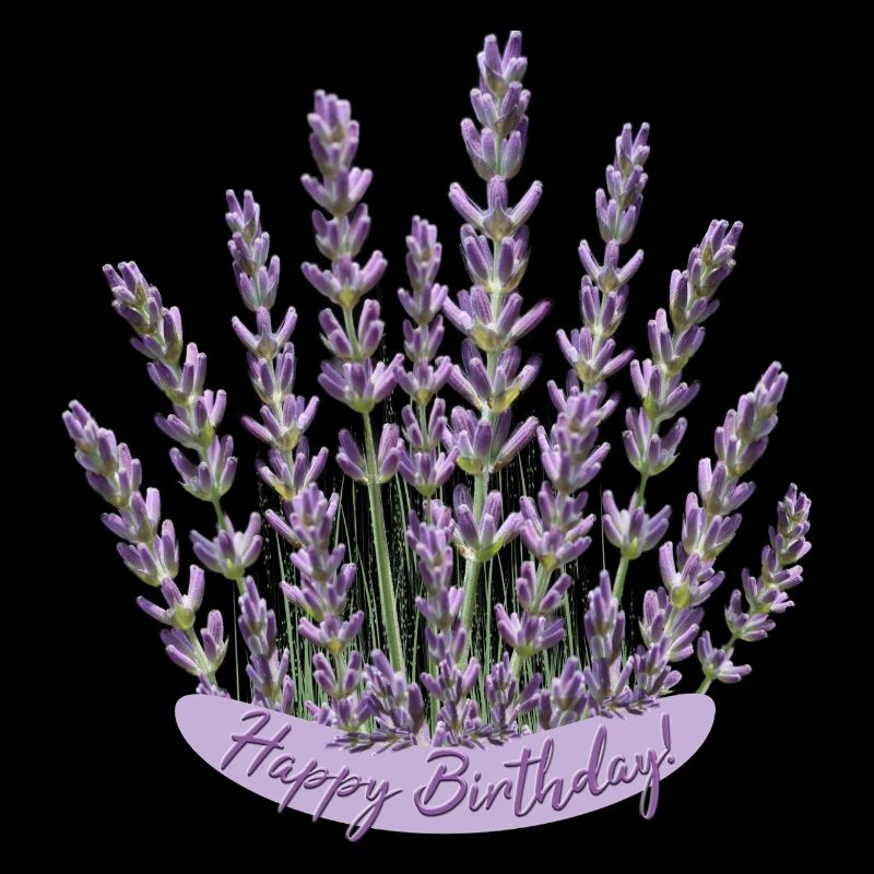 Anniversaire lavande Fleur violette