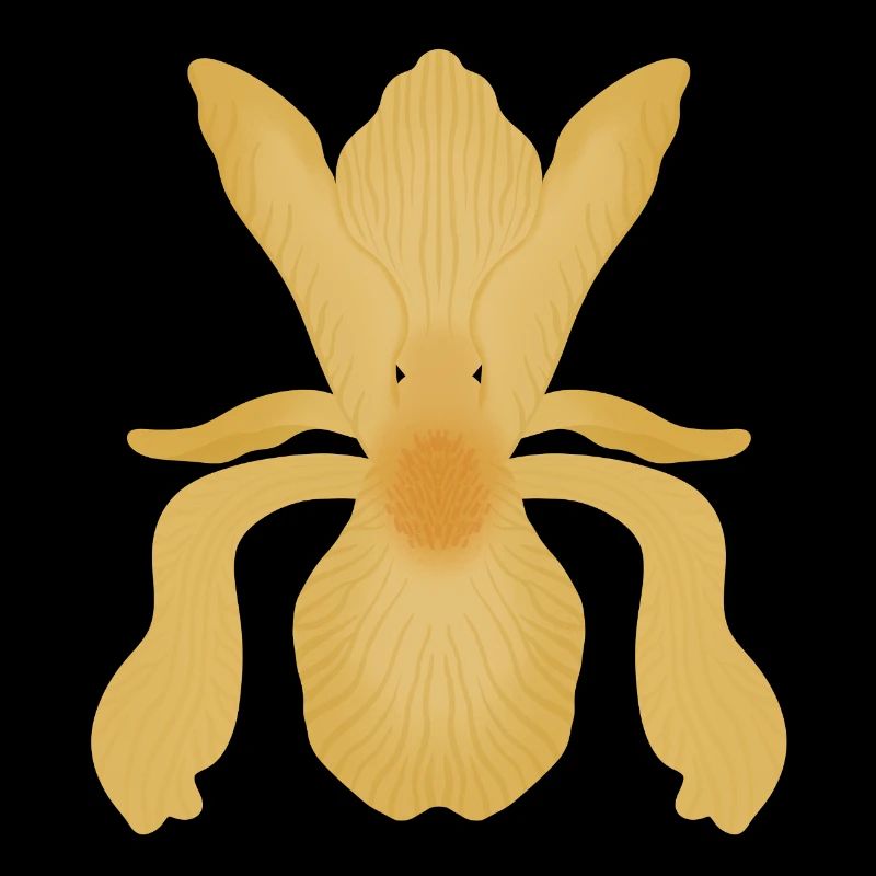 Golden Iris Bloom