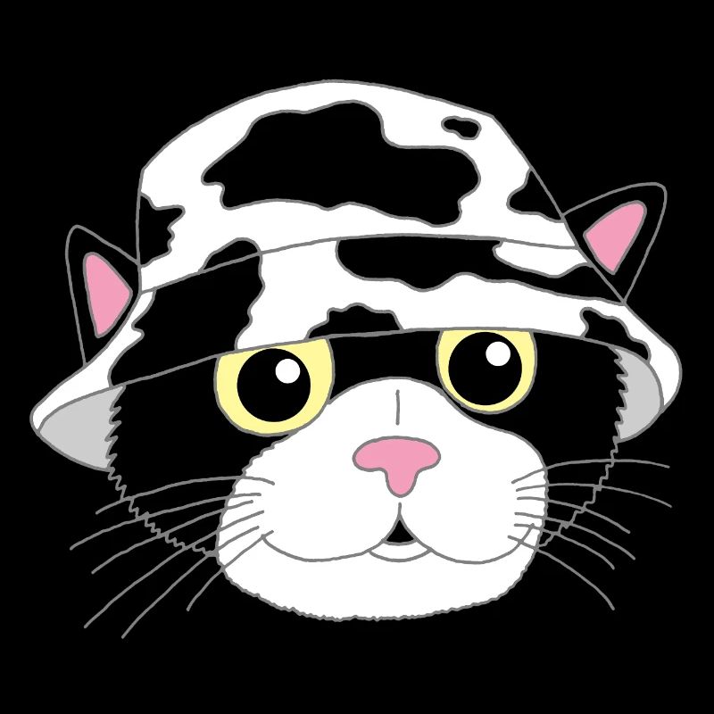Le chaton et son chapeau