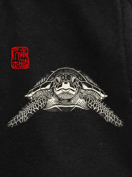 Turtle Asian