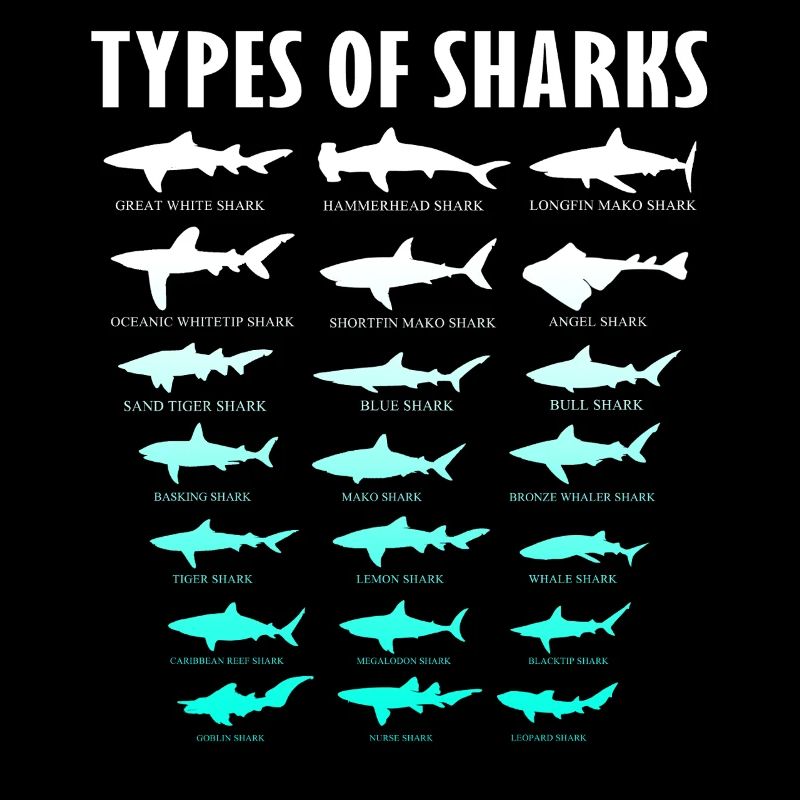 Types de requins Conception des requins d’océan | Chemise de requin