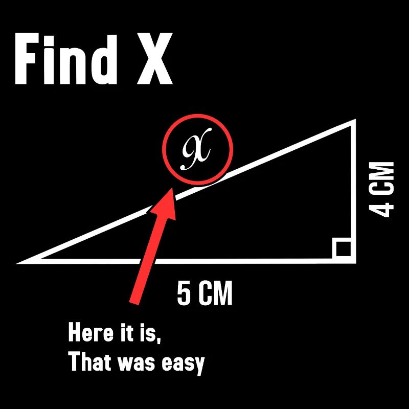 Find X Math Lover Mathematician Math Teacher
