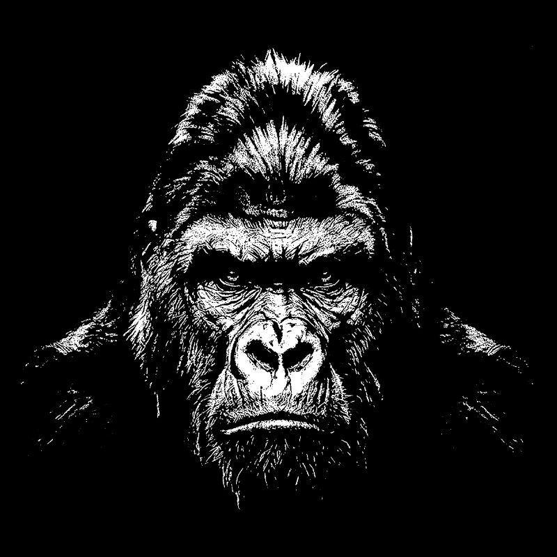 Gorilla