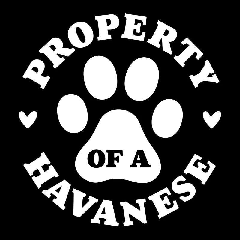 Eigentum eines Havanesers
